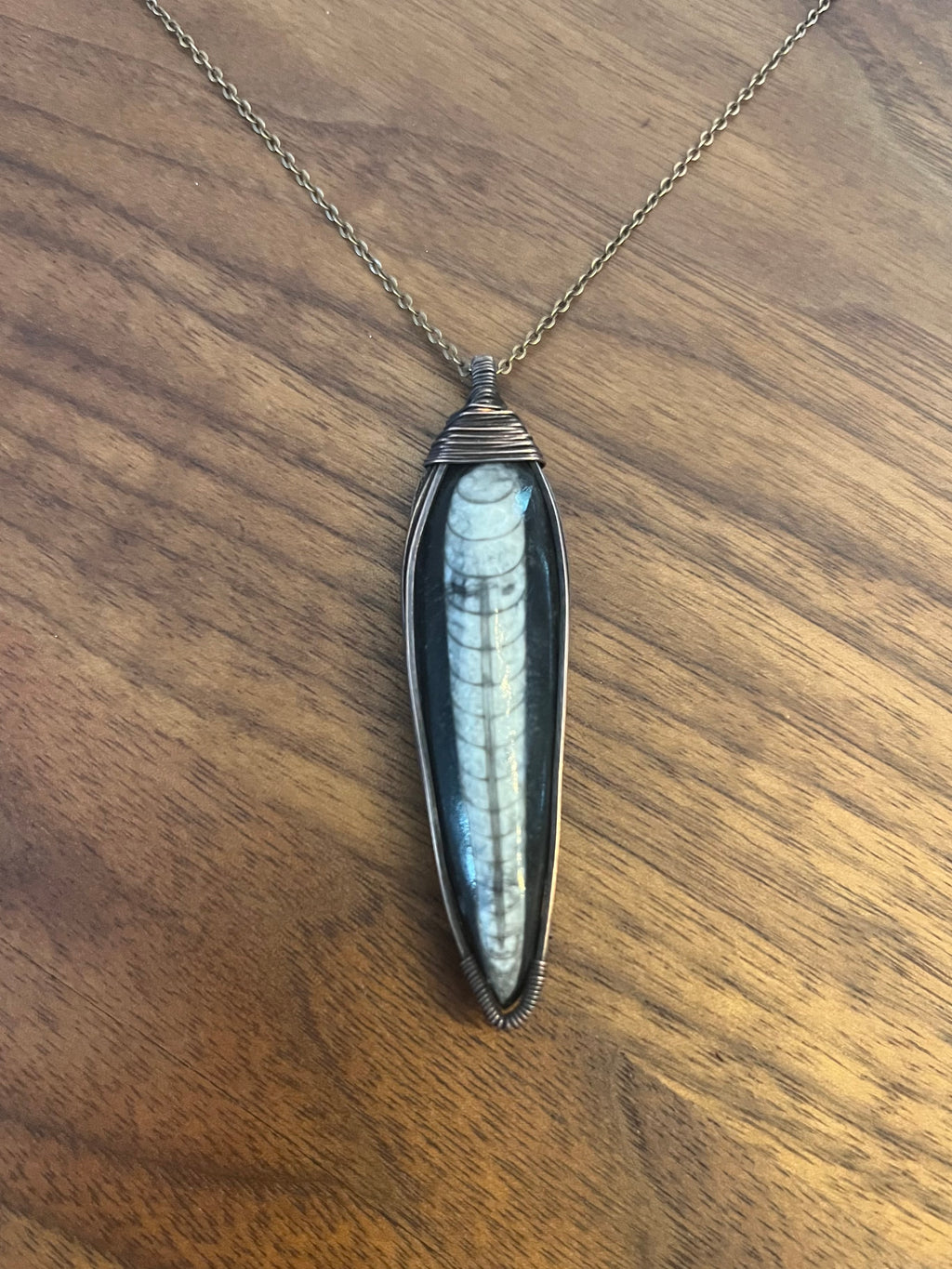 Orthoceras Pendant
